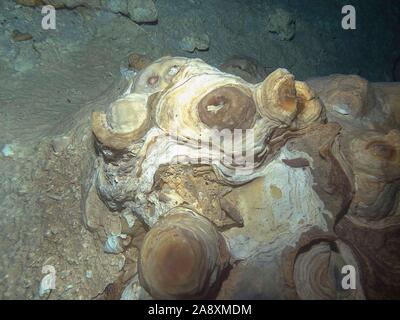 Unterwasser Formationen in der Cenote Dos Ojos in der Nähe von Tulum, Mexiko Stockfoto