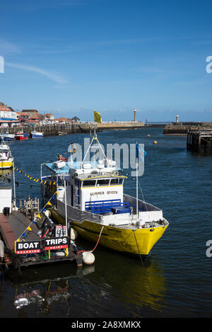 Die gelbe Geschälte Touristenboot Sommer Queen bietet Bootsfahrten entlang mit Fischerbooten auf dem Fluss Esk in Whitby, North Yorkshire England Großbritannien Stockfoto