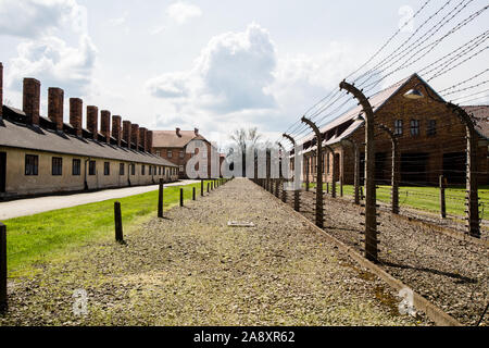 Auschwitz, Polen, 28. April 2016: Stacheldrahtzaun und Kasernen im Konzentrationslager Auschwitz in Polen. Stockfoto