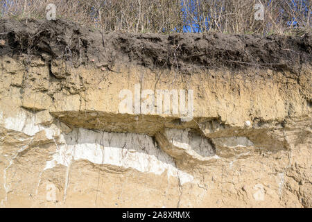 Bodenschichten am Rande eines erodierten Steilküste Steilküste mit Bäumen, auf der deutschen Insel Poel nahe Wismar, Ostsee, Kopie Raum Stockfoto