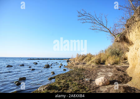 Abfallende Baum kurz vor dem Sturz am Rande des Ausgewaschen Steilküste Steilküste auf der deutschen Insel Poel in der Ostsee in der Nähe von Wismar, Kopieren s Stockfoto
