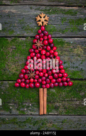 Weihnachtsbaum aus frischen Preiselbeeren, Zimtstangen und und Anis Sterne auf natürliche Moos Holz- Hintergrund, Ansicht von oben mit der Kopie Raum, null Abfall c Stockfoto