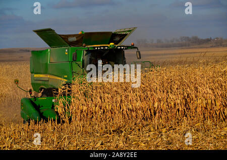 7. November 2019 ländlicher Landkreis Burleigh im südlichen Zentrum von North Dakota. Landwirte, die Mähdrescher und verwandte Maschinen einsetzen, ernten in diesem Jahr Maisernte. Stockfoto