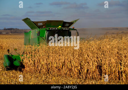 7. November 2019 ländlicher Landkreis Burleigh im südlichen Zentrum von North Dakota. Landwirte, die Mähdrescher und verwandte Maschinen einsetzen, ernten in diesem Jahr Maisernte. Stockfoto