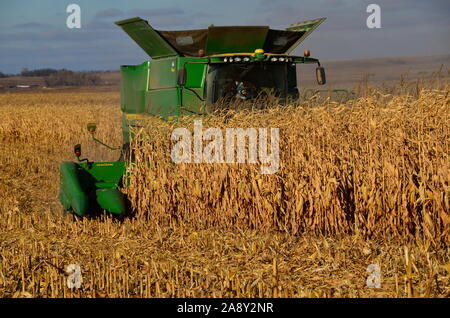 7. November 2019 ländlicher Landkreis Burleigh im südlichen Zentrum von North Dakota. Landwirte, die Mähdrescher und verwandte Maschinen einsetzen, ernten in diesem Jahr Maisernte. Stockfoto