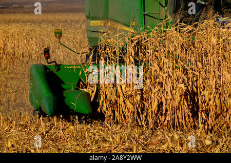 7. November 2019 ländlicher Landkreis Burleigh im südlichen Zentrum von North Dakota. Landwirte, die Mähdrescher und verwandte Maschinen einsetzen, ernten in diesem Jahr Maisernte. Stockfoto