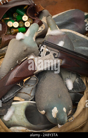 Ein studio Foto einer Browning B125 12-Bohrung über und - unter Schrotflinte auf künstliche Ringeltaube Lockvögel. In Großbritannien ist die woodpigeon Bevölkerung nu Stockfoto