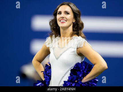 November 10, 2019: Indianapolis Colts Cheerleader während NFL Football Spiel Action zwischen den Miami Dolphins und die Indianapolis Colts im Lucas Oil Stadium in Indianapolis, Indiana. Miami besiegt Indianapolis 16-12. Johann Mersits/CSM. Stockfoto