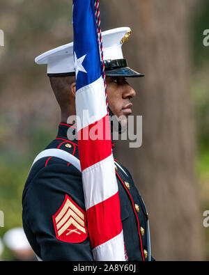 New York, USA, 11. November 2019. Mitglied US Marine Corps eine zeremonielle Flagge vor dem Start des Veterans Day Parade in New York City. Credit: Enrique Ufer/Alamy leben Nachrichten Stockfoto