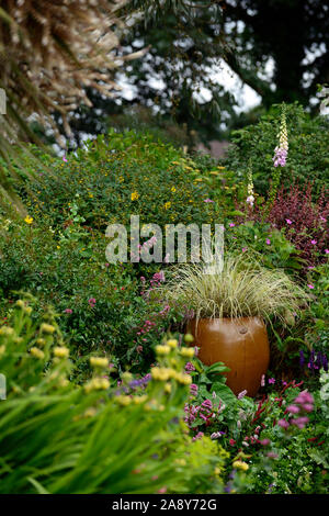 Feature Topf, Garten, Topf, Töpfe, Container gardening, Blume, Blumen, Blüte, Mix, Gemischt, Kombination, Grenze, Grenzen, RM, Blumen-, Cortaderia selloana Stockfoto