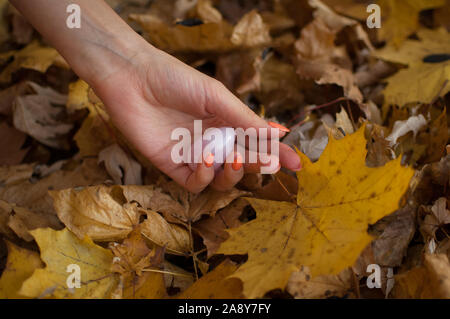 Weibliche hand mit orange Maniküre Holding rosa Quarz yoni Ei für vumfit, imbuilding oder Meditation auf gelbem Hintergrund Laub im Herbst Stockfoto