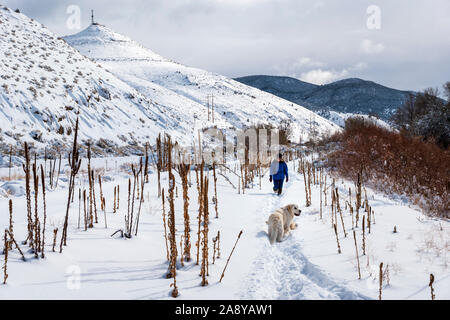 Frau wandern mit Platin farbige Golden Retriever Hund im frischen Schnee am Arkansas River; Salida, Colorado, USA Stockfoto