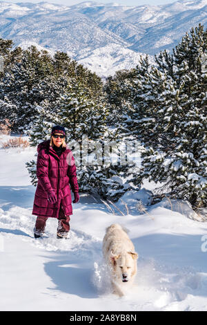 Frau wandern mit Platin farbige Golden Retriever Hund im frischen Schnee in der Nähe von Salida, Colorado, USA Stockfoto