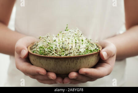 Junge Erwachsene Händen hält Keramik Schüssel mit selbst angebauten Organische micro Grüns Alfalfa Sprossen sprießen. Gesunde Ernährung Konzept. Close up, selektive konzentrieren. Stockfoto