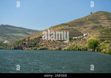 Terrassen von Reben und Weinbergen am Ufer des Douro in der Nähe von Vila Real in Portugal Stockfoto