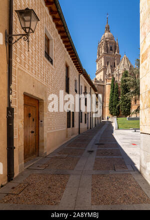 Blick vom Glockenturm und Schnitzereien auf dem Dach der alten Kathedrale in Salamanca Stockfoto