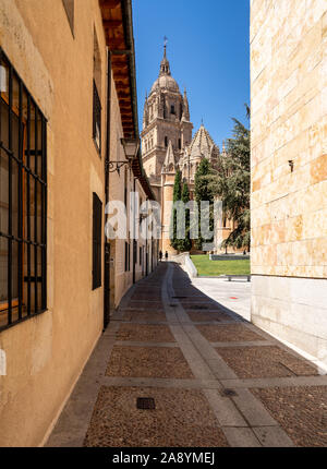 Blick vom Glockenturm und Schnitzereien auf dem Dach der alten Kathedrale in Salamanca Stockfoto