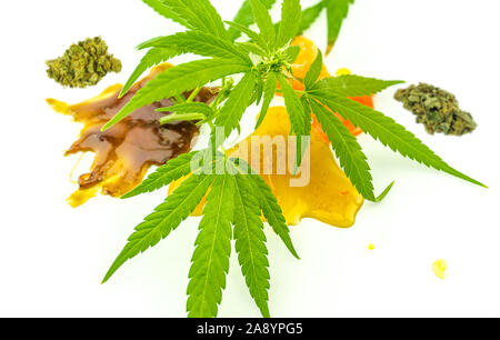 Verschiedene Cannabis und THC CBD zerbrechen Kolophonium Extrakte mit Hanf Blüten und Blätter, isoliert auf weißem Stockfoto