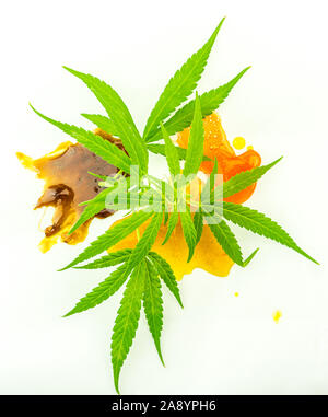 Verschiedene Cannabis und THC CBD zerbrechen Kolophonium Extrakte mit Hanf Blüten und Blätter, isoliert auf weißem Stockfoto