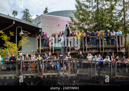 Vancouver, British Columbia, Kanada - 26 April 2019: Dolphin Durchführen einer unglaublichen Sprung in das Vancouver Aquarium mit Masse der Leute beobachten Stockfoto