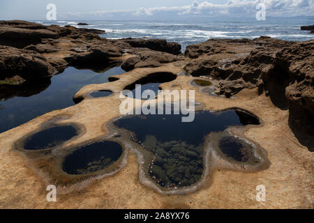 Botanical Beach, Port Renfrew, Vancouver Island, British Columbia, Kanada. Wunderschöne Aussicht auf einem felsigen Strand am Pazifik Küste an einem sonnigen s Stockfoto