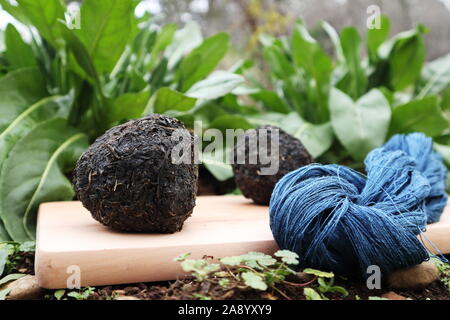 Indigo gefärbt, Blau Leinen Garn, waid Kugel, und waid Anlage. Stockfoto