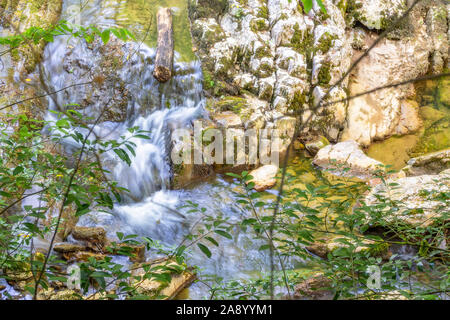 Blick durch das Laub auf einer kleinen Cascade Creek. Ein kleiner Bach fließt entlang der felsigen Kanal. Stockfoto