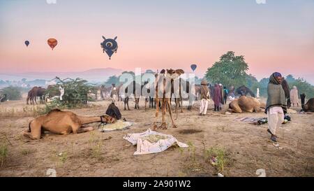 Die Pushkar Camel Fair ist eine jährliche Veranstaltung in Rajasthan, wo Kamele gekauft und verkauft werden, und Heißluftballons Schweben am Himmel in der Morgendämmerung. Stockfoto