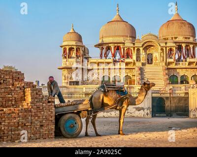 Ziegel von einem Delivery Man unbelastet von einer Karre zu einem Kamel vor Ein wunderschön restauriertes haveli Palast genutzt. Mandawa, Rajasthan, Indien. Stockfoto