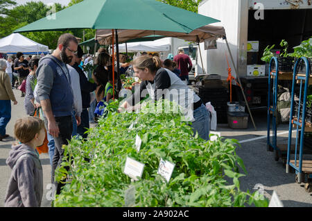 Gemüse sind an ein Bauernmarkt verkauft Abschaltdruck Stockfoto