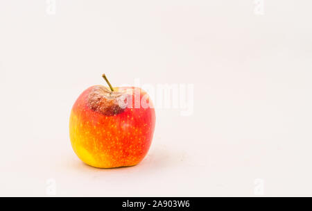 Einen einzelnen reifen roten Apfel mit einem faulen Fleck oben auf einen klaren Hintergrund Bild mit Kopie Raum im Querformat isoliert Stockfoto