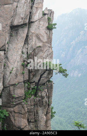 Gelbe Berge. Mount Huangshan. ein Gebirge im Süden der Provinz Anhui im Osten Chinas. Stockfoto