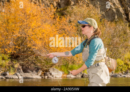 Eine Frau fliegen Fischen entlang dem Poudre River im Norden von Colorado. Stockfoto