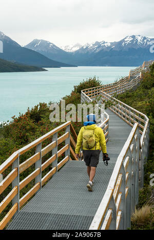 Tourist, der eine gelbe Jacke trägt, die allein auf den wegen von Perito Moreno, Patagonien Argentinien, spazieren geht. Stockfoto