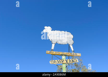 Ausschnitt aus einem Schaf in Richtung der beliebten Outback Pub Sheepyard Inn, die grawin, Lightning Ridge, New South Wales, NSW, Australien Stockfoto