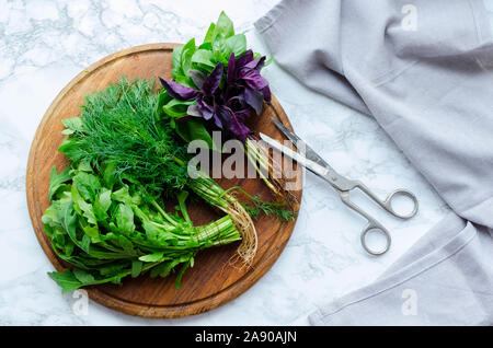 Frisch geerntete Kräuter, Trauben von frischem Kraut auf Marmor Hintergrund von oben. Bündel von Basilikum, Dill und Rucola mit einer Schere. Ansicht von oben. Flach. Stockfoto