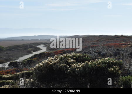 Ein Blick auf den Weg hinter den Dünen am Moss Landing. Stockfoto