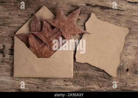 Einen Umschlag und leere Papper auf einem Holztisch mit getrockneten Blätter im Herbst eingerichtet Stockfoto
