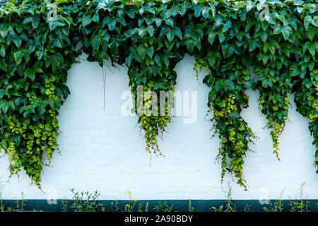 Wand Stockfoto