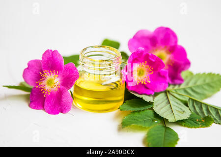 Hagebutten Blumen öl Flasche mit rosa Hagebutten Blumen isoliert Stockfoto