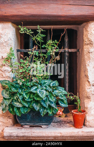 Metallgitter auf das Fenster in einem alten Haus aus Stein mit einem Blumentopf auf der Fensterbank Stockfoto