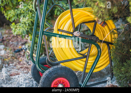 In Werkzeuge des alten Garten Gärtner - helle gelbe Gartenschlauch auf einem Trolley Stockfoto
