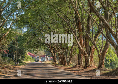 PILGRIMS REST, SÜDAFRIKA - 21. MAI 2019: eine Straße, Szene, mit Bäumen und historischen Gebäuden, in Pilgrims Rest Stockfoto