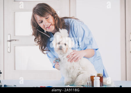 Lächelnde Frau Tierarzt Prüfung Hund mit Stethoskop in der Tierklinik Stockfoto