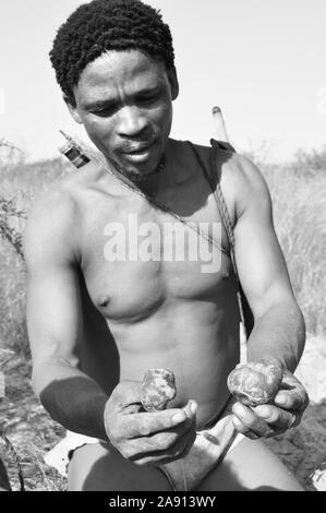 Botswana: Naro-Bushmen in der Nähe von Ghanzi, Pilze, die er in der Kalahari Wüste gefunden Stockfoto