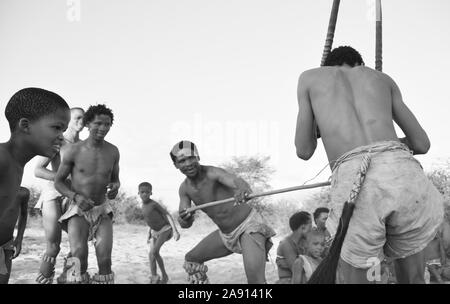 In der Nähe von Ghanzi Naro-Bushmen in der zentralen Kalahari, die zeigen, wie die Würde ein Tier jagen und töten Sie es mit dem Stock und Messer. Stockfoto