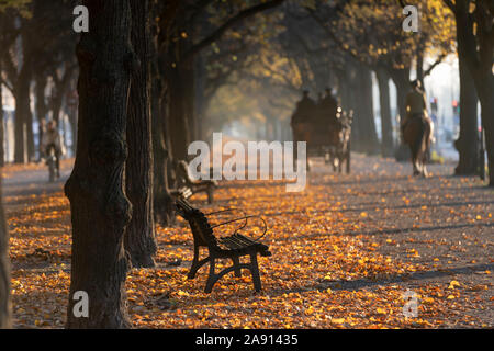 Herbst-park Stockfoto