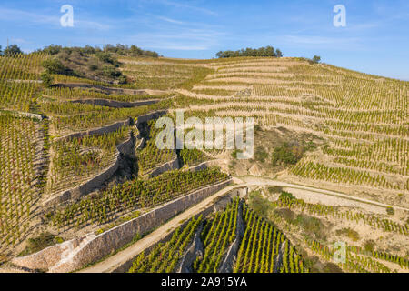 Frankreich, Drome, Tain l'Hermitage, AOC Weinberg auf das Rhonetal, Hermitage Weinberg // Frankreich, Drôme (26), Tain-l'Hermitage, AOC vignoble de la Vall Stockfoto