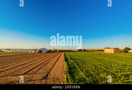 Blick auf landwirtschaftlichen Flächen und Gebäude in der Nähe von Valencia vor Sonnenuntergang. Spanien Stockfoto