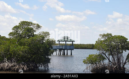 Die Feder in die Everglades Stockfoto